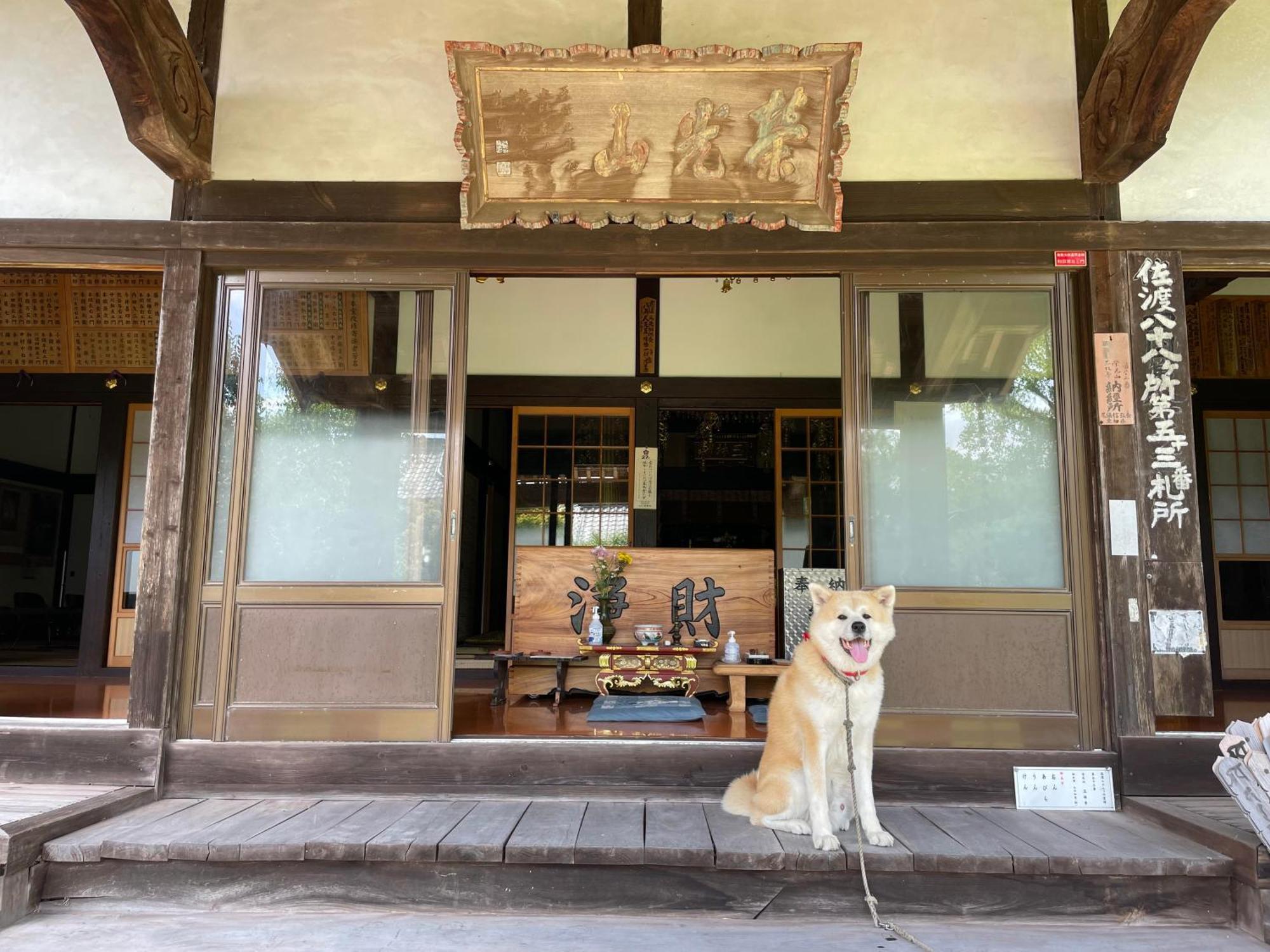 Temple Stay 玉林寺 Sado Bagian luar foto